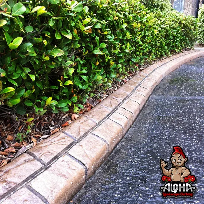 Paver pattern stamped curbing