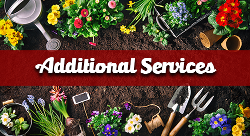 Additional Services