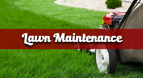 Lawn Maintenance
