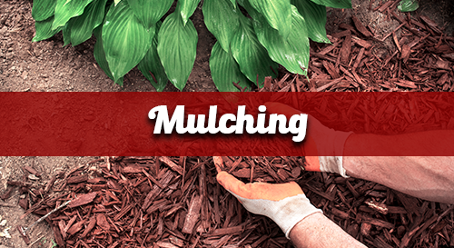 Mulching