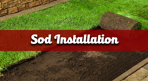 Sod Installation